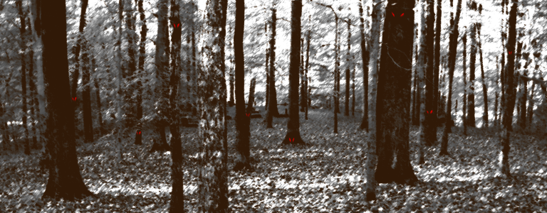 A deciduous forest in greyscale, with a pair of eyes peering at you from one of the trees.